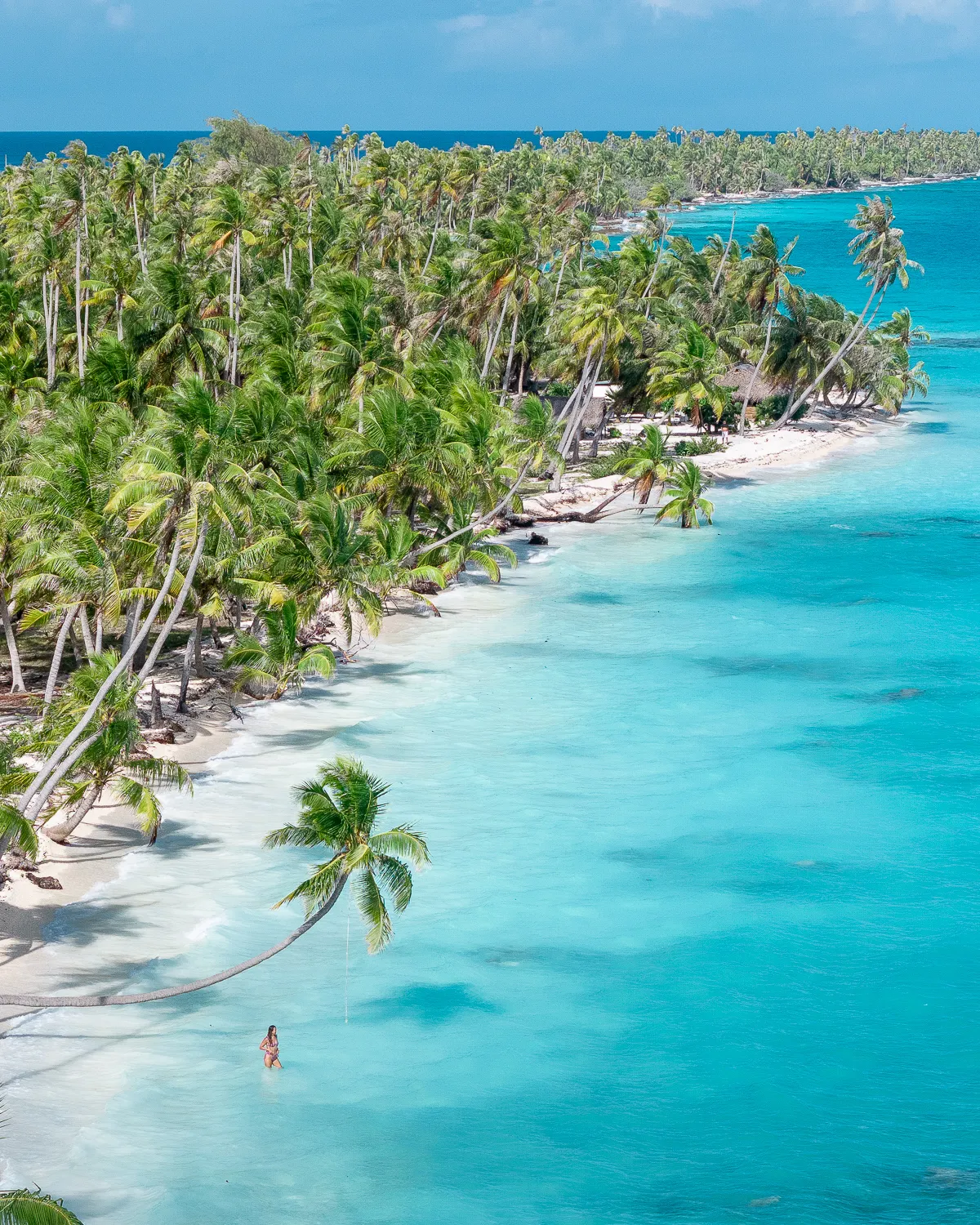 Palm-lined beach beside a turquoise lagoon