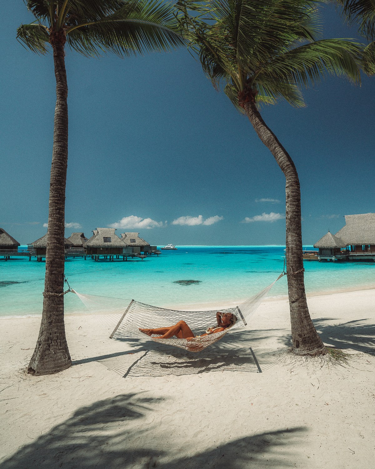 Hammock between palm trees on a white-sand beach